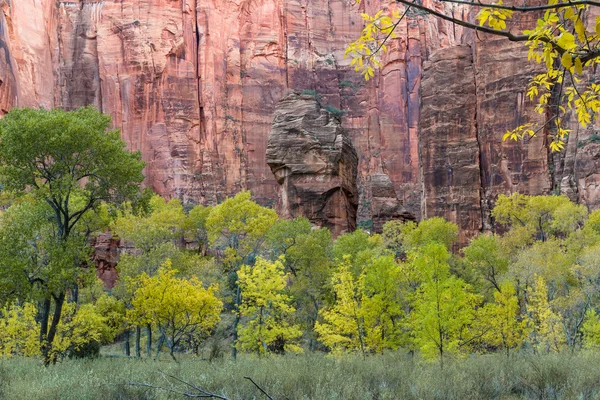 Otoño en Zion NP — Foto de Stock