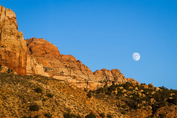 Yükselen moon — Stok fotoğraf