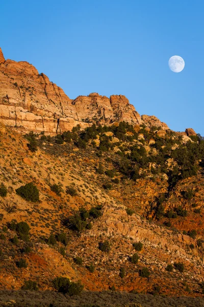 Luna nascente — Foto Stock