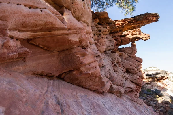 Rock formations in Zion — Stock Photo, Image