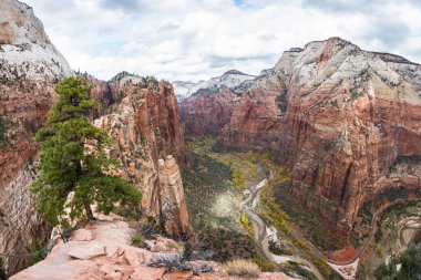 Zion Np sonbahar