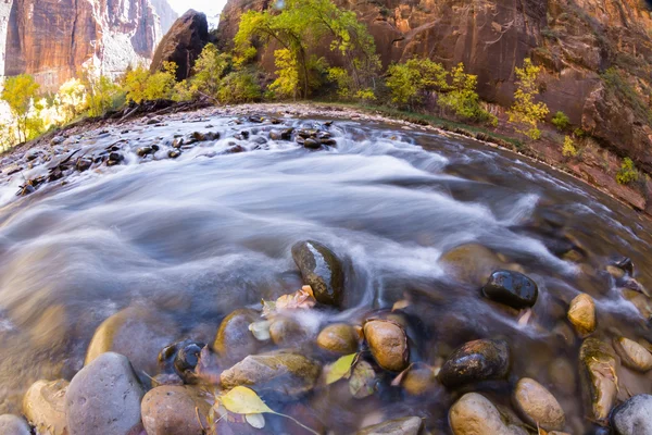 Otoño en Zion NP — Foto de Stock