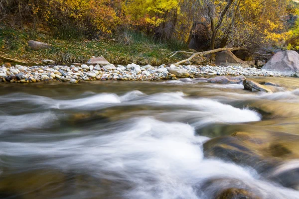 Autunno a Zion NP — Foto Stock