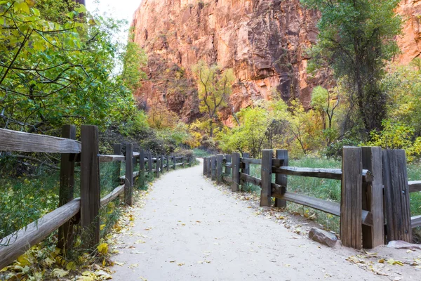 Walkway in Zion NP — стоковое фото