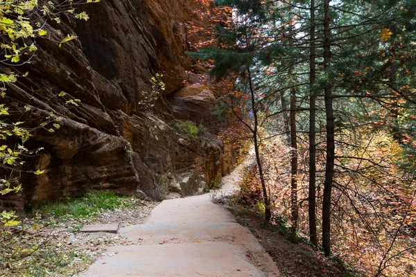 Autunno a Zion NP — Foto Stock