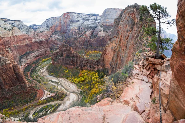 Autumn in Zion NP — Stock Photo, Image