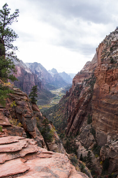 осень в Сионе

