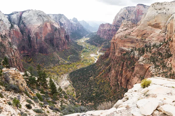 Autumn in Zion NP — Stock Photo, Image