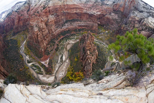 Herbst in zion np — Stockfoto