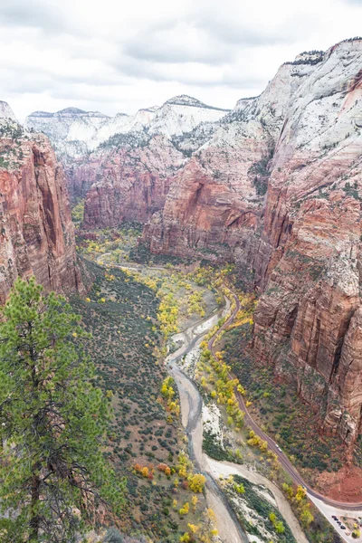 Høst i Zion NP – stockfoto