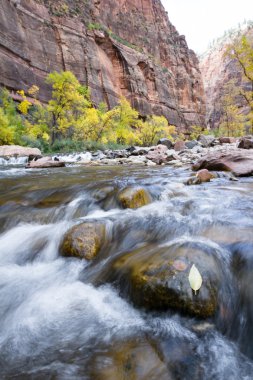 sonbahar virgin Nehri üzerinde