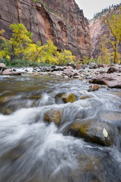 Autumn on the virgin river — Stock Photo, Image