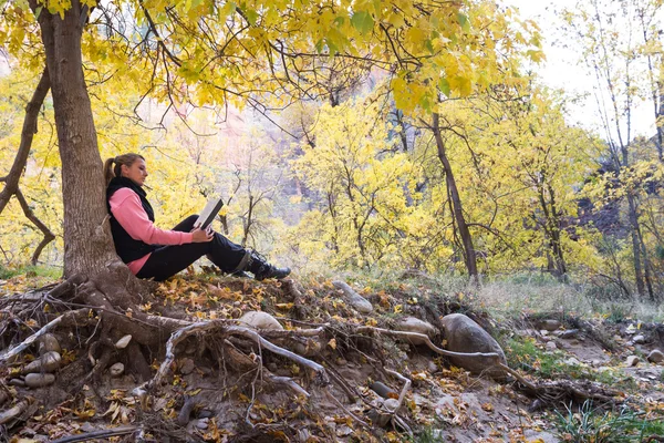 Autumn outdoors — Stock Photo, Image