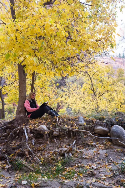 Autumn outdoors — Stock Photo, Image