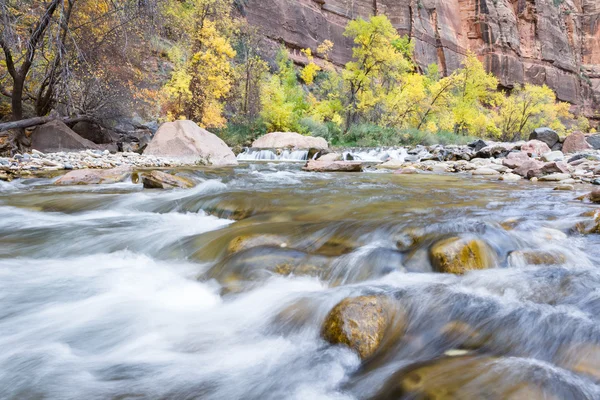 Herbst auf dem jungfräulichen Fluss — Stockfoto