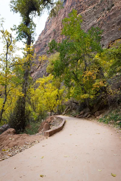 Autunno a Zion NP — Foto Stock