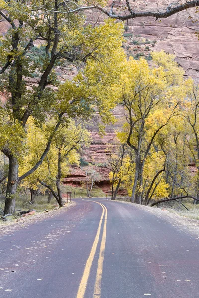 Autumn drive — Stock Photo, Image