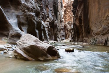 Zion Np daraltır