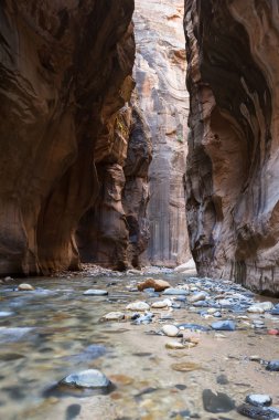 Zion Np daraltır
