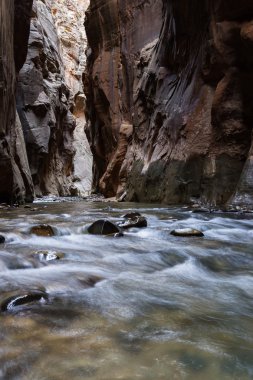 Zion Np daraltır