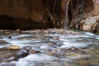 Zion Np daraltır