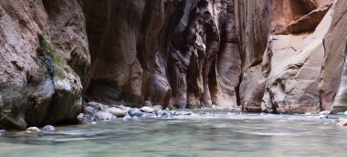 Zion Np daraltır