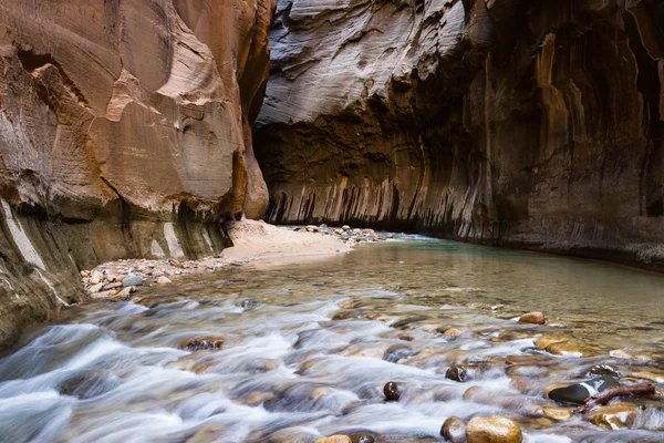 Zužuje v Zion Np — Stock fotografie