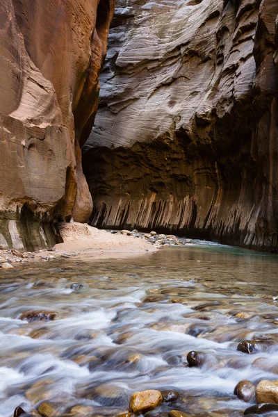 Narrows i Zion NP - Stock-foto