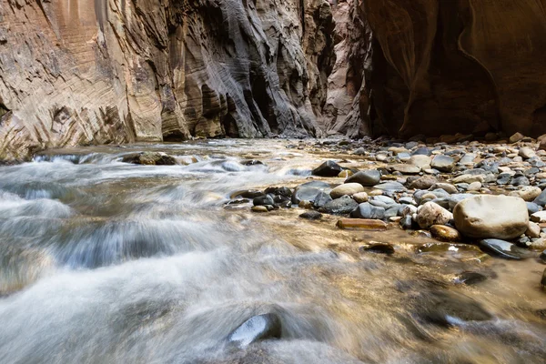 Narrows i Zion NP - Stock-foto