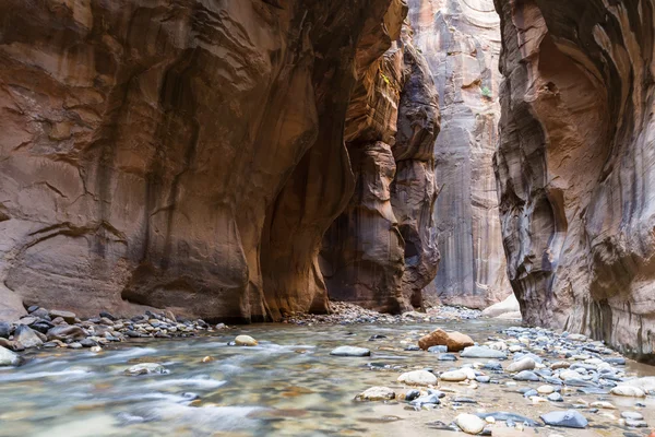 The Narrows in Zion NP — Stock Photo, Image