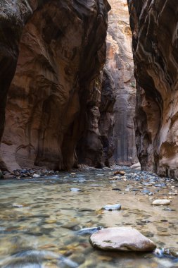Zion Np daraltır