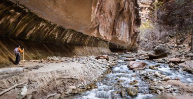 hiking the Narrows in Zion NP clipart