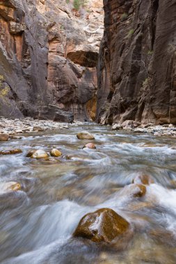 Zion Np daraltır