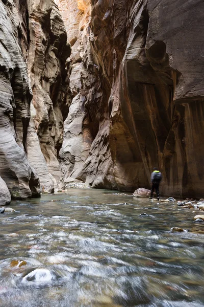 Randonner dans le Narrows à Sion NP — Photo