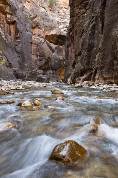 Narrows i Zion NP - Stock-foto