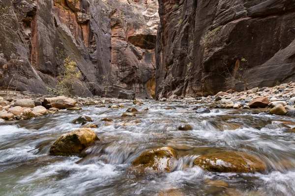 Zwęża się w Zion Np — Zdjęcie stockowe