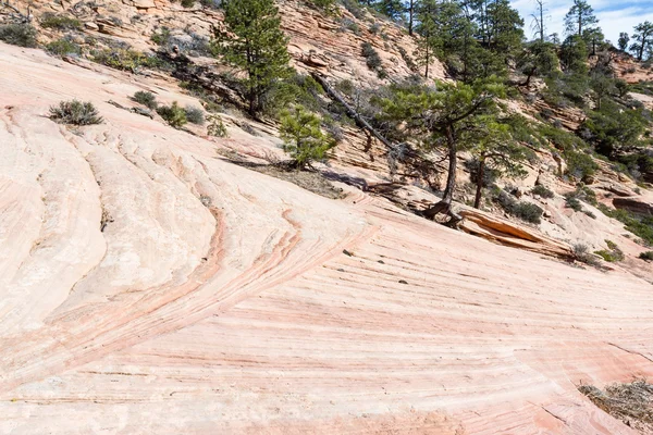 Sandstone landscape — Stock Photo, Image