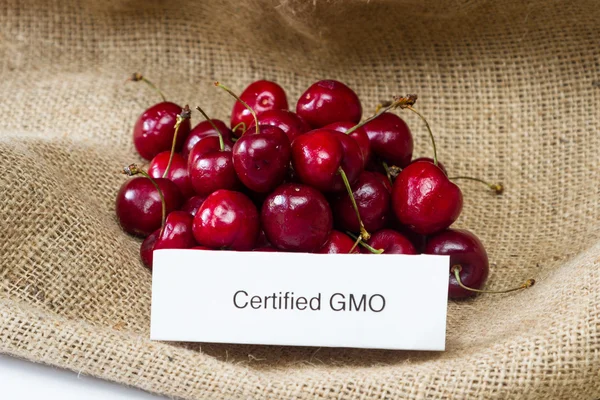 GMO cherries