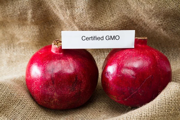 GMO pomegranates — Stock Photo, Image