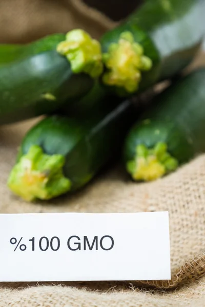 Färska Gmo zucchini — Stockfoto