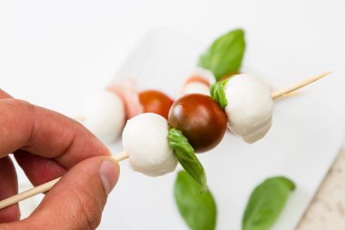 taze mozzarella ve domates meze 