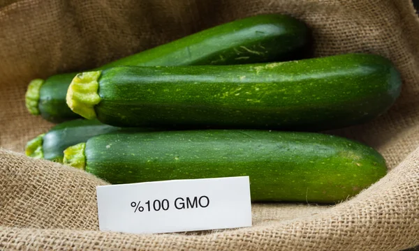 Färska Gmo zucchini — Stockfoto