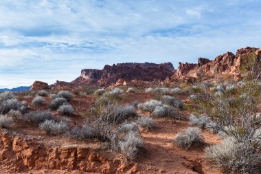 Ateş Vadisi, Nevada
