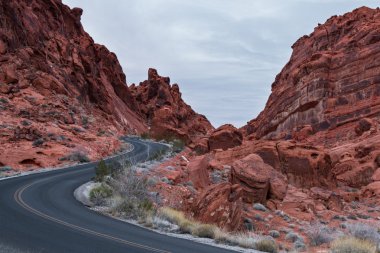 Ateş Vadisi, Nevada