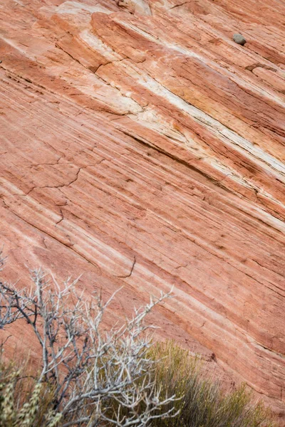 Sandstone background — Stock Photo, Image