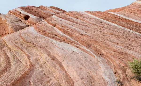 Vallée de feu, nevada — Photo