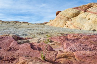 Ateş Vadisi, Nevada