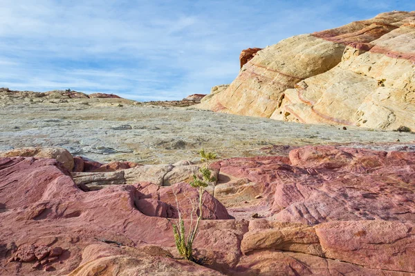 Valley of fire, Nevada — Stock Photo, Image