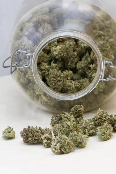 Läkemedel marijuana — Stockfoto