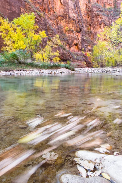 Autumn in Zion NP — Stock Photo, Image